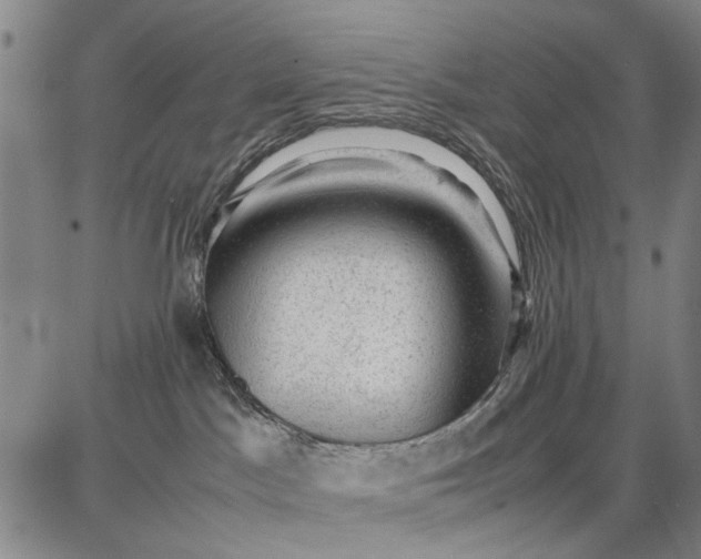 X0000087670045200705181715