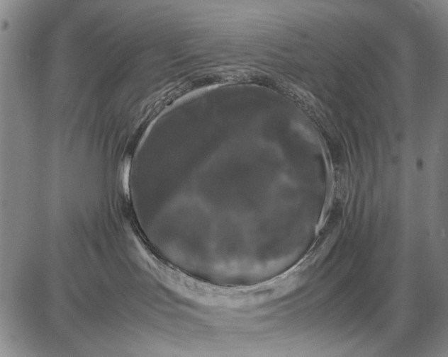 X0000087670047200705181715