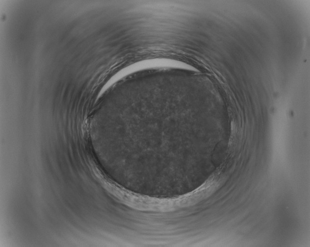 X0000087670048200705181715