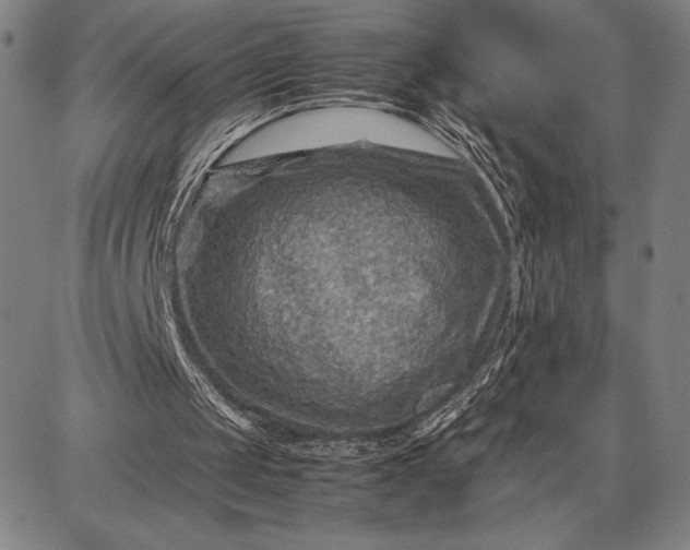 X0000087670049200705181715