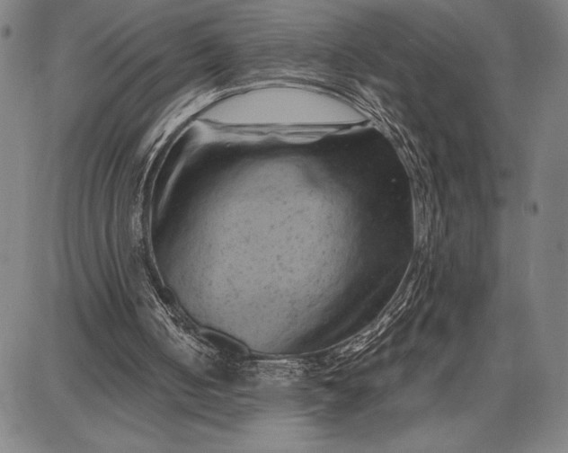 X0000087670050200705181715