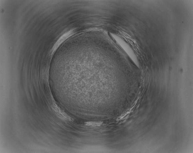 X0000087670051200705181715