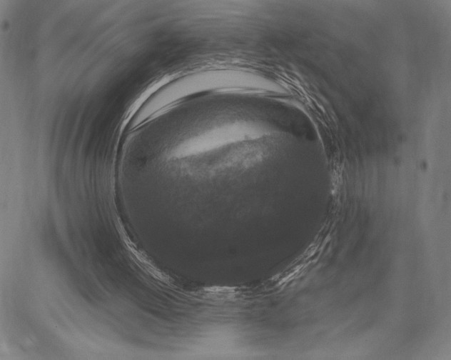 X0000087670052200705181715