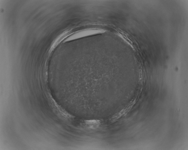 X0000087670053200705181715