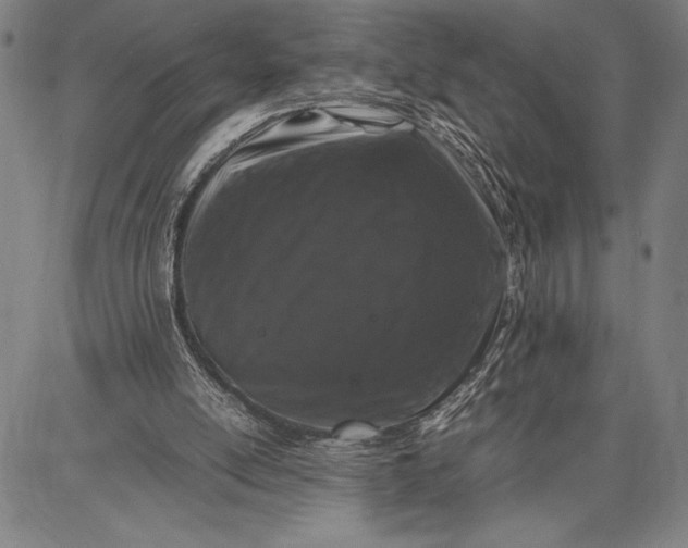 X0000087670054200705181715