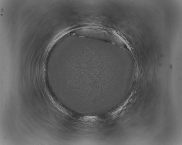 X0000087670055200705181715