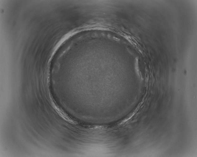 X0000087670056200705181715