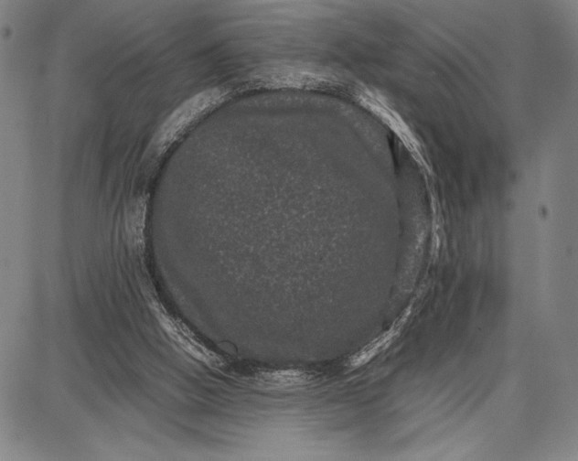 X0000087670058200705181715