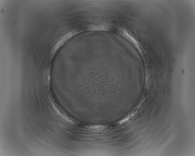 X0000087670059200705181715