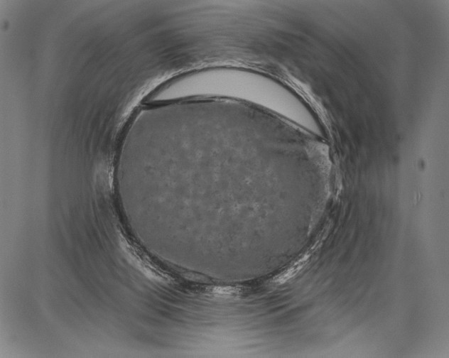 X0000087670060200705181715