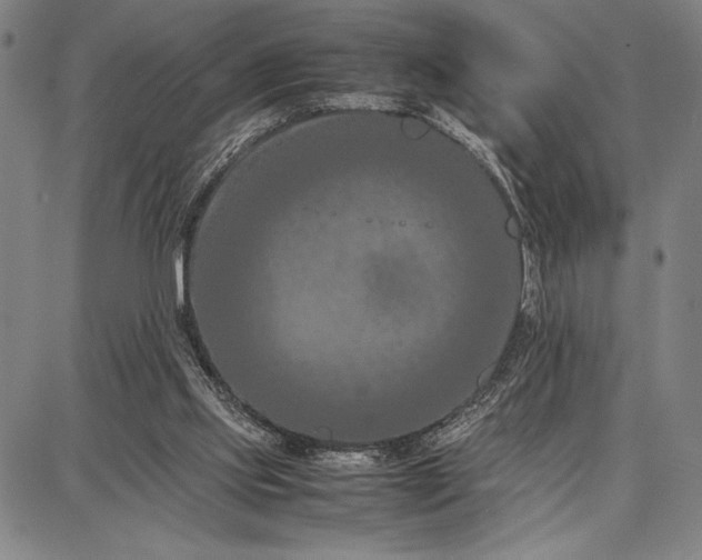 X0000087670061200705181715