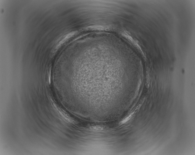 X0000087670062200705181715