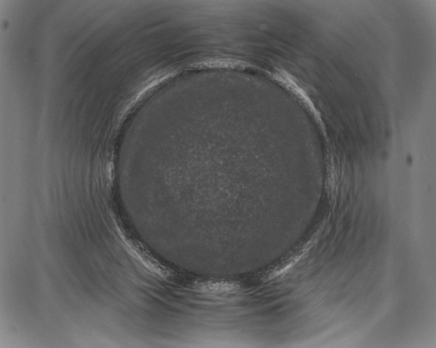 X0000087670063200705181715