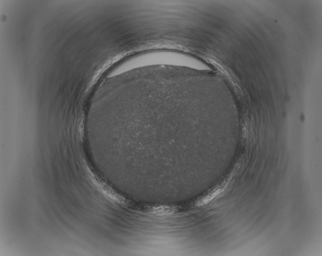 X0000087670064200705181715