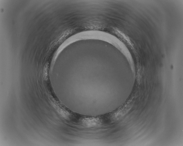 X0000087670065200705181715