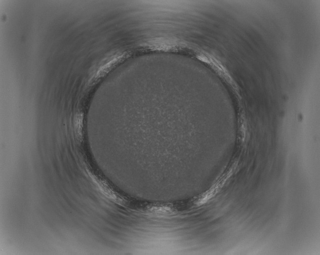 X0000087670066200705181715