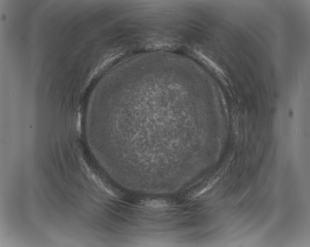 X0000087670067200705181715