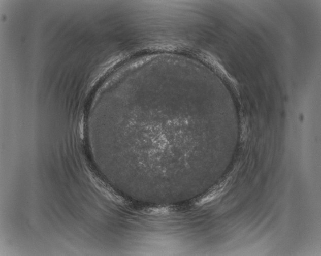 X0000087670068200705181715