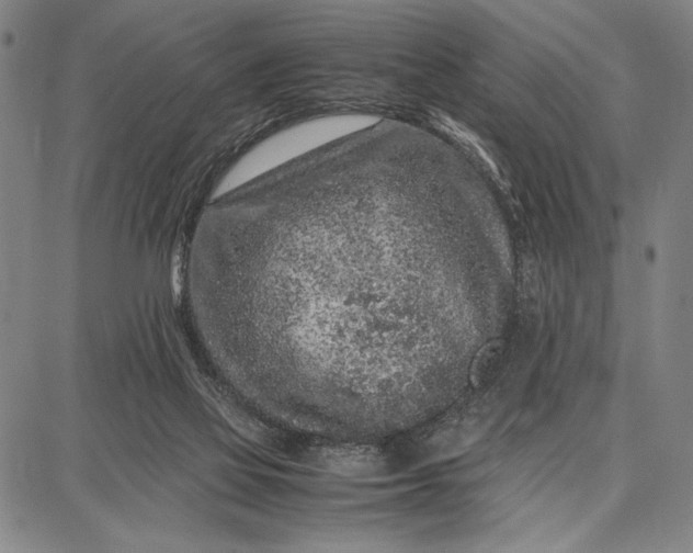 X0000087670069200705181715