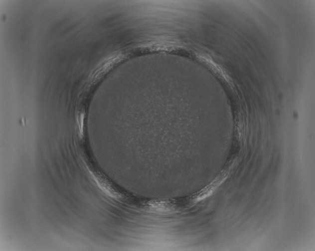 X0000087670070200705181715