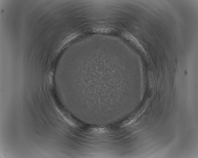 X0000087670071200705181715