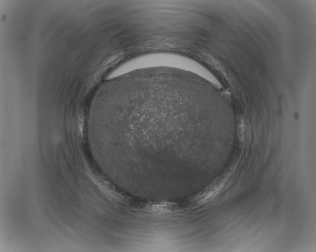 X0000087670072200705181715