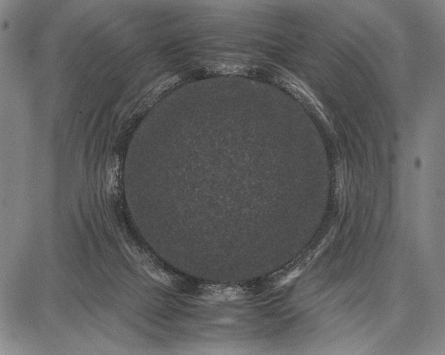 X0000087670073200705181715