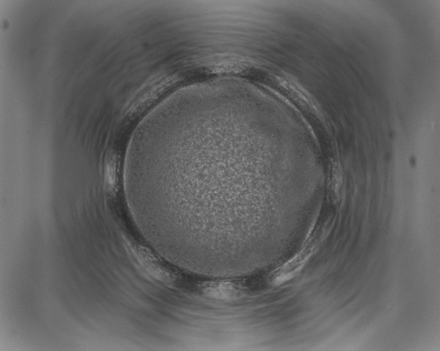 X0000087670074200705181715