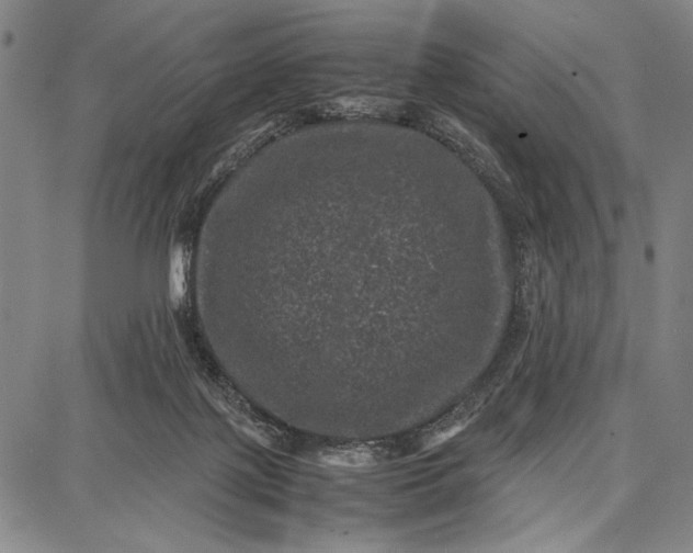 X0000087670075200705181715