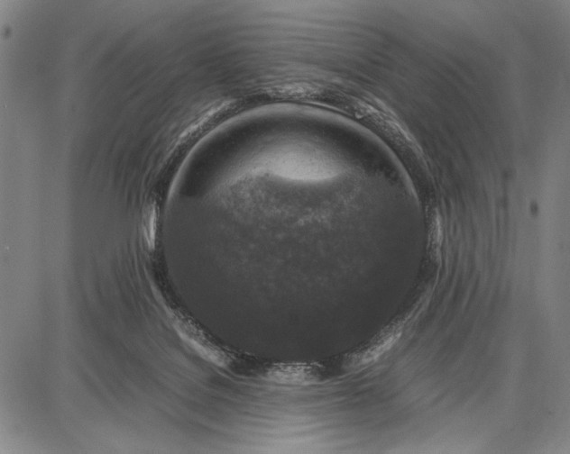 X0000087670076200705181715