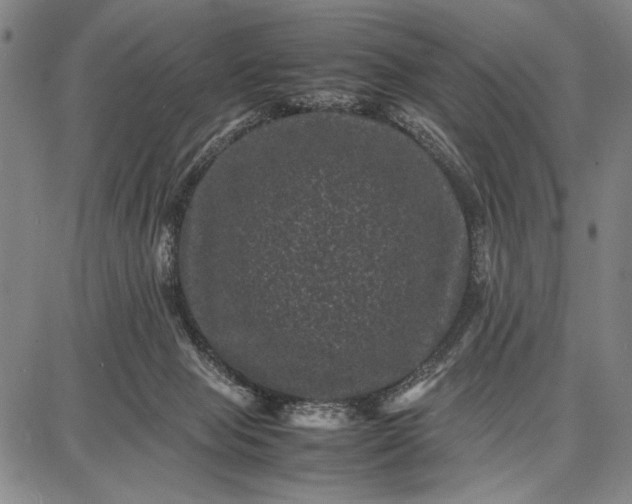 X0000087670077200705181715