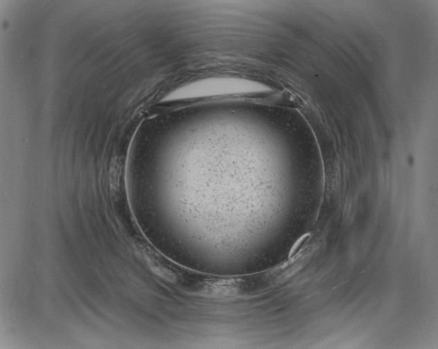 X0000087670078200705181715