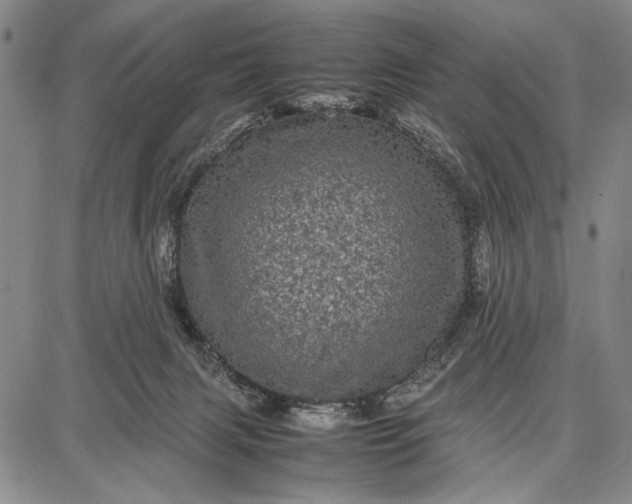 X0000087670079200705181715