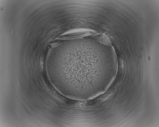 X0000087670080200705181715