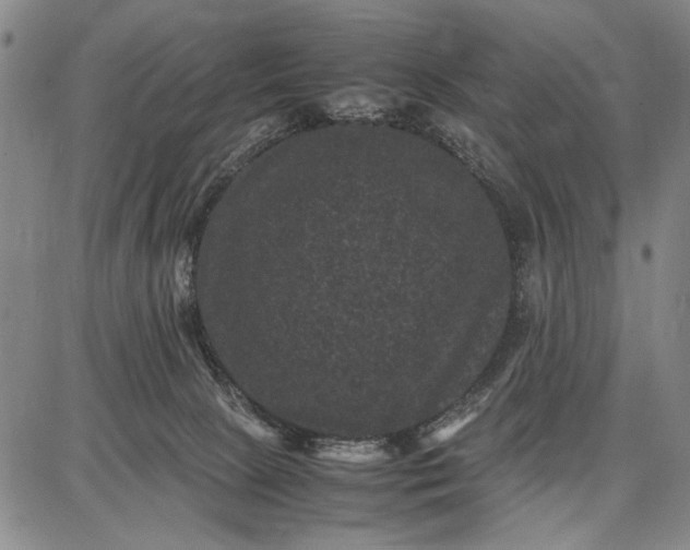 X0000087670081200705181715