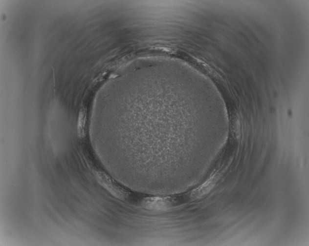 X0000087670082200705181715