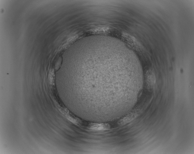 X0000087670083200705181715