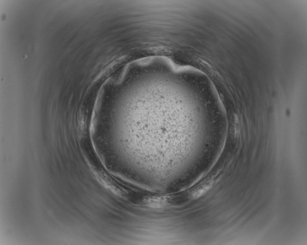 X0000087670084200705181715