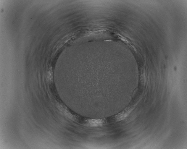 X0000087670085200705181715