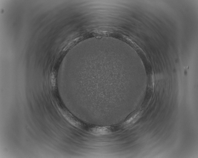 X0000087670086200705181715