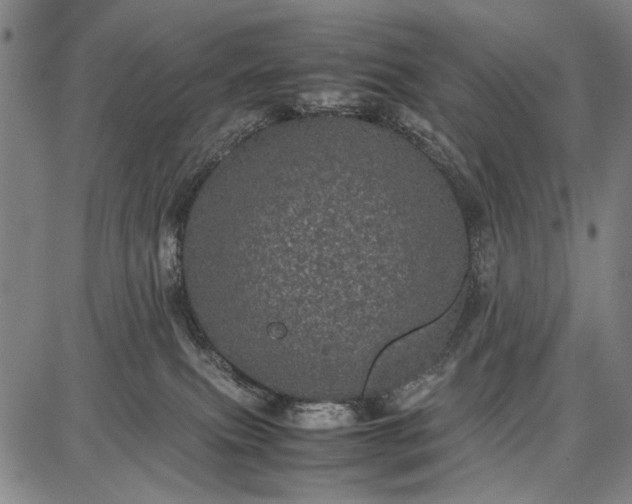 X0000087670087200705181715