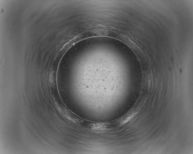 X0000087670088200705181715