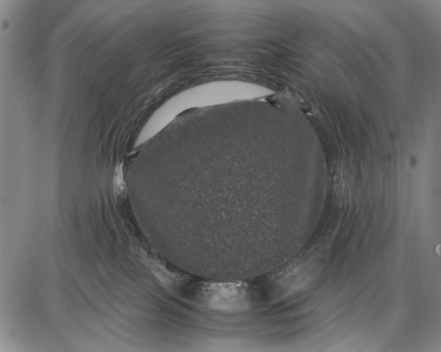 X0000087670089200705181715