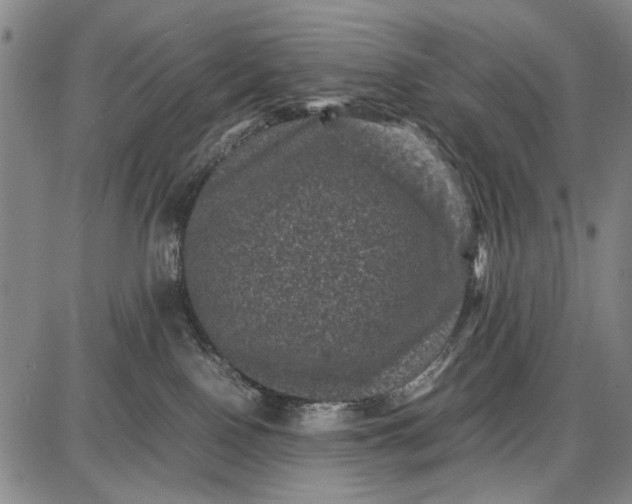 X0000087670090200705181715