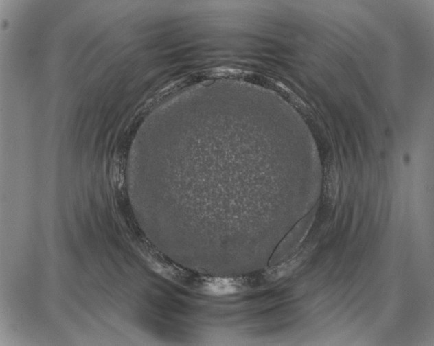 X0000087670091200705181715