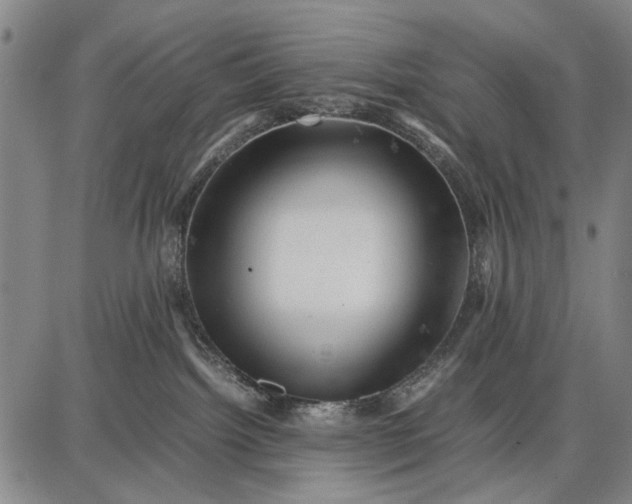 X0000087670092200705181715