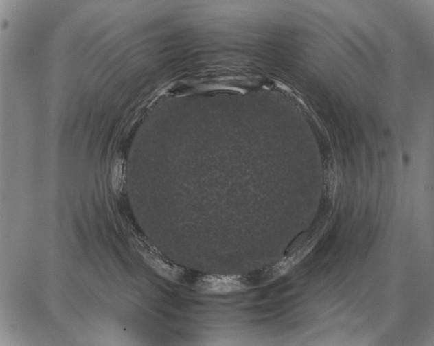 X0000087670093200705181715