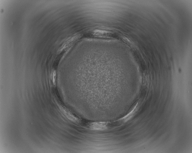 X0000087670094200705181715