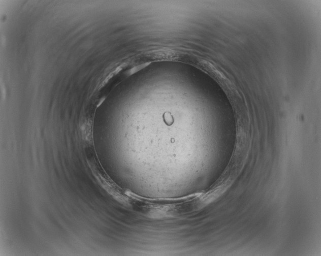 X0000087670096200705181715