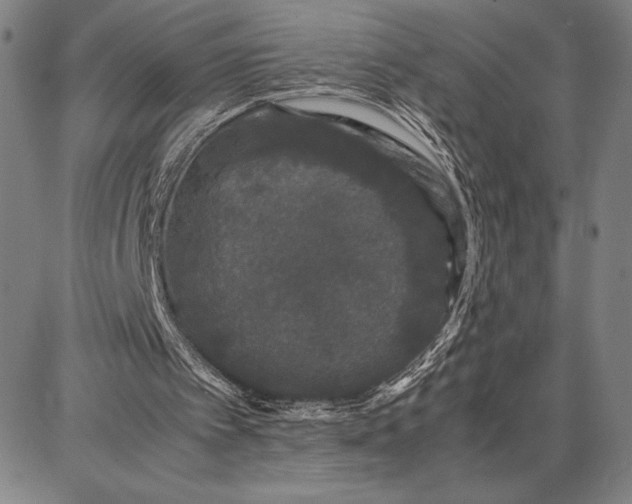 X0000087670097200705181715